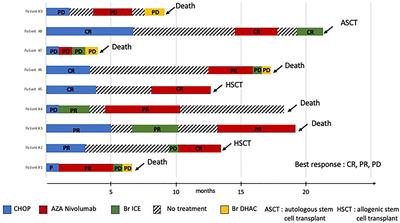 A combination of 5-azacytidine and nivolumab is a potentially effective rescue therapy in relapsed/refractory AITL